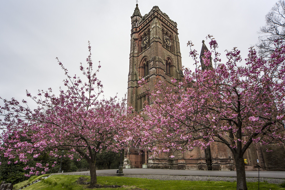 Upper Annandale Parish Church in Spring
